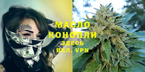 ECSTASY Богородицк